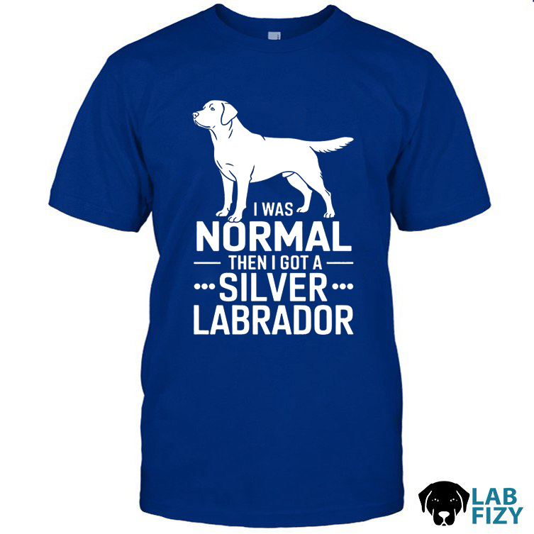 i was normal then i got a silver labrador 1 i was normal then i got a silver labrador 1