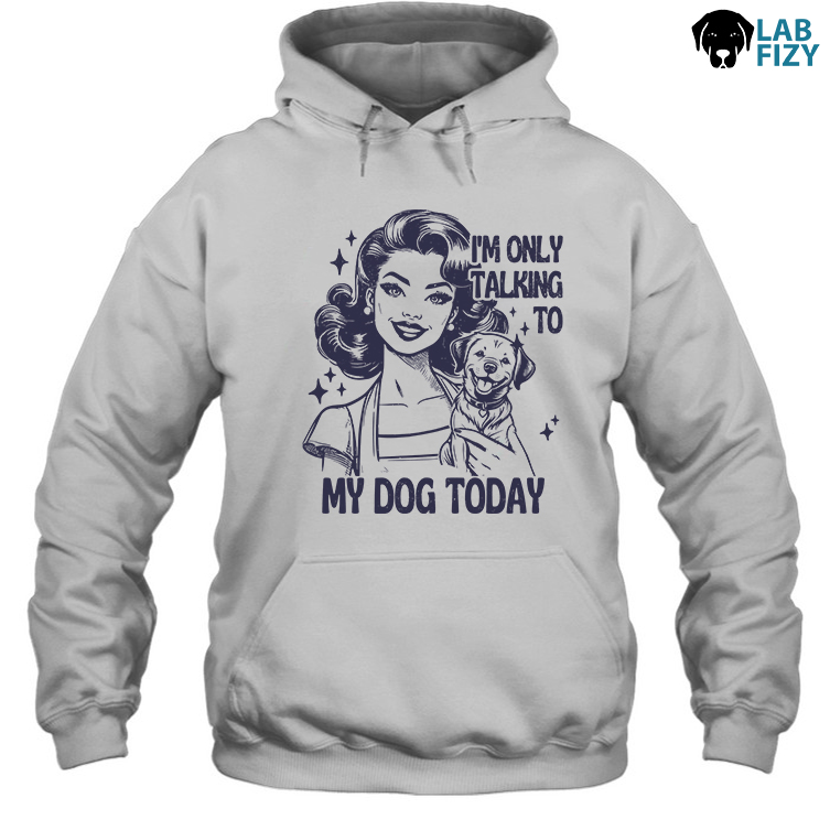im only talking to my dog labrador today hoodie im only talking to my dog labrador today hoodie