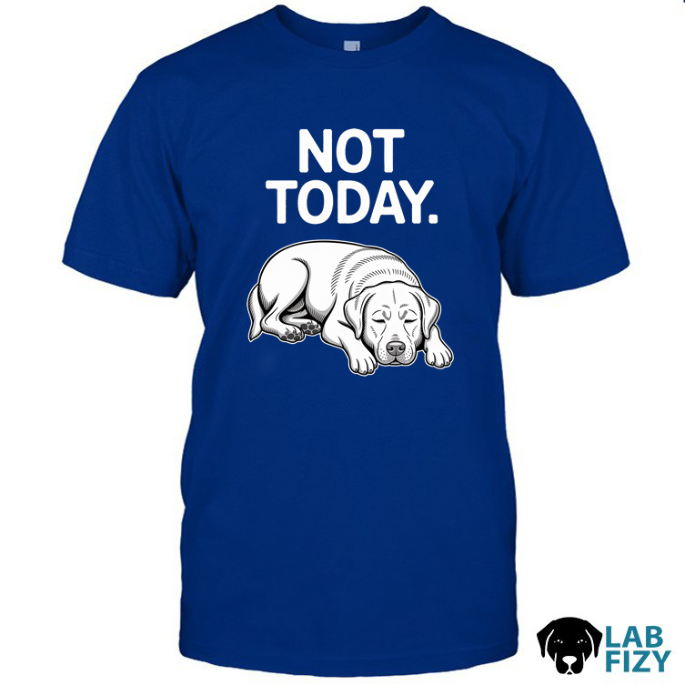 not today 1 not today 1
