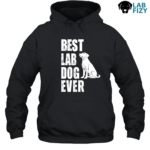 Best Lab Dog Ever Shirt, Hoodie, Sweatshirt 7 Best lab dog ever Hoodie