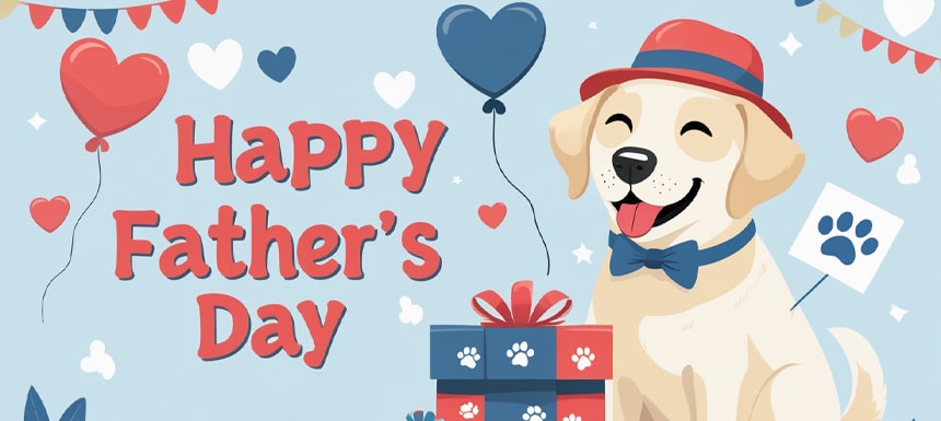 banner labfizy fatherday
