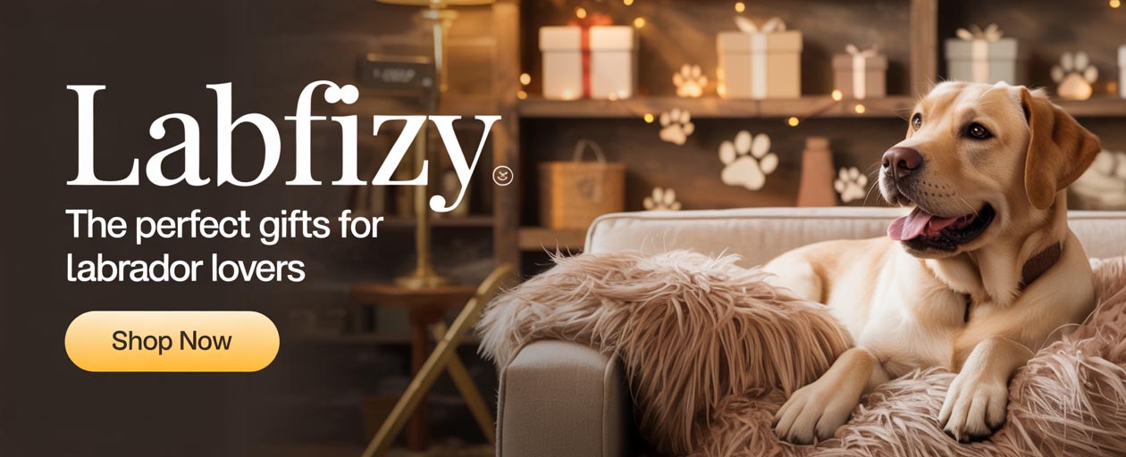 banner labfizyzyyyy