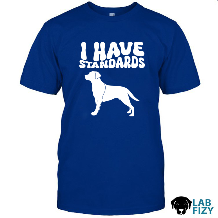 I Have Standards Labrador Shirt, Hoodie, Sweatshirt 10 i have standards labrador shirt 2