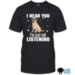 i hear you im just not listening