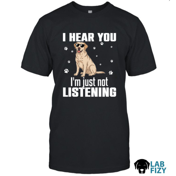 i hear you im just not listening