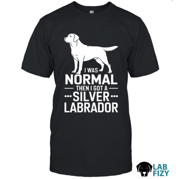 i was normal then i got a silver labrador