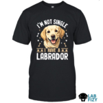 im not single i have a labrador