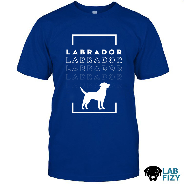 labrador 1 labrador 1