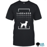 labrador
