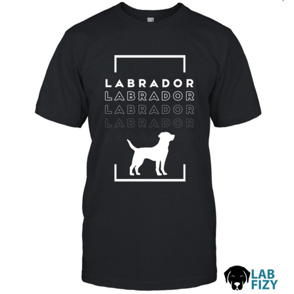 labrador