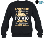 Labrador Are Like Potato Chips You Can't Have Just One Shirt, Hoodie, Sweatshirt 8 labrador are like potato chips you cant have just one 3