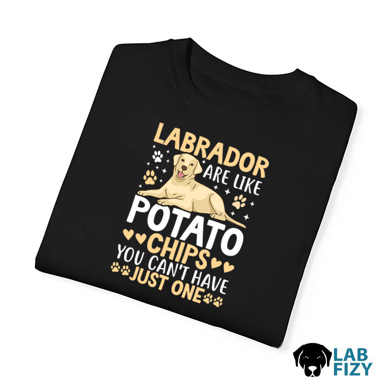 Top 30+ Birthday Gift Ideas For Boyfriend 5 labrador are like potato chips you cant have just one 4