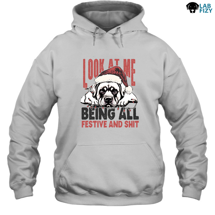look at me being all festive and shit Labrador Hoodie look at me being all festive and shit Labrador Hoodie