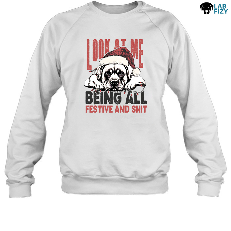 look at me being all festive and shit Labrador Sweatshirt look at me being all festive and shit Labrador Sweatshirt