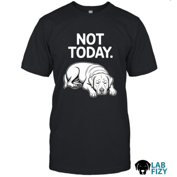 Not Today Labrador Shirt, Hoodie, Sweatshirt