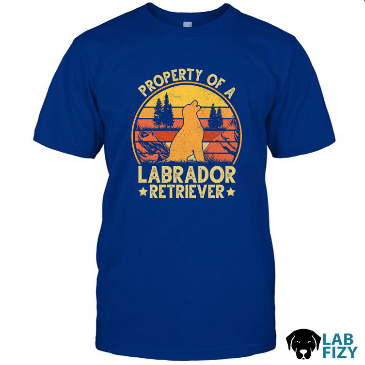 Property Of A Labrador Retriever Shirt, Hoodie, Sweatshirt 10 property of a labrador retriever 1