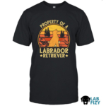 property of a labrador retriever