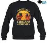 property of a labrador retriever 3