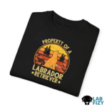 property of a labrador retriever 4