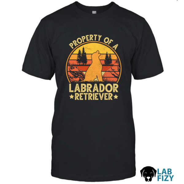 property of a labrador retriever