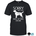sorry im late labrador was sitting on me