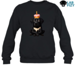 Black Lab Birthday Fail Shirt, Hoodie, Sweatshirt 9 Black Lab Birthday Fail Sweashirt