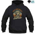 Every Home Needs A Labrador Shirt, Hoodie, Sweatshirt 7 Every Home Needs A Labrador Shirt 3