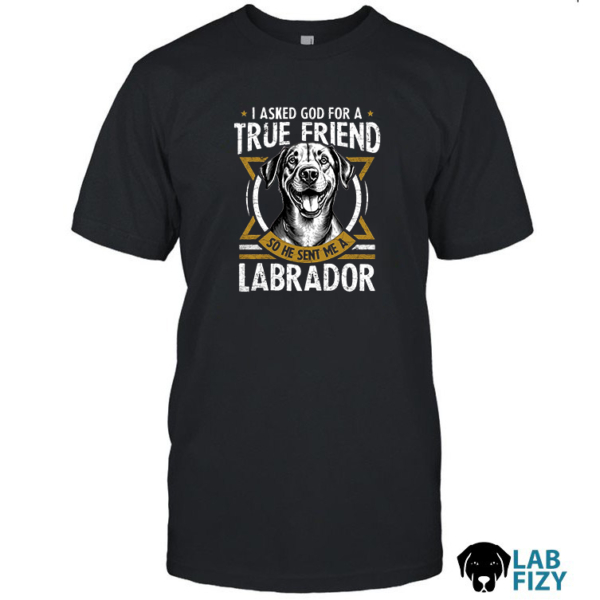 I Asked God For A True Friend So He Sent Me A Labrador Shirt, Hoodie, Sweatshirt