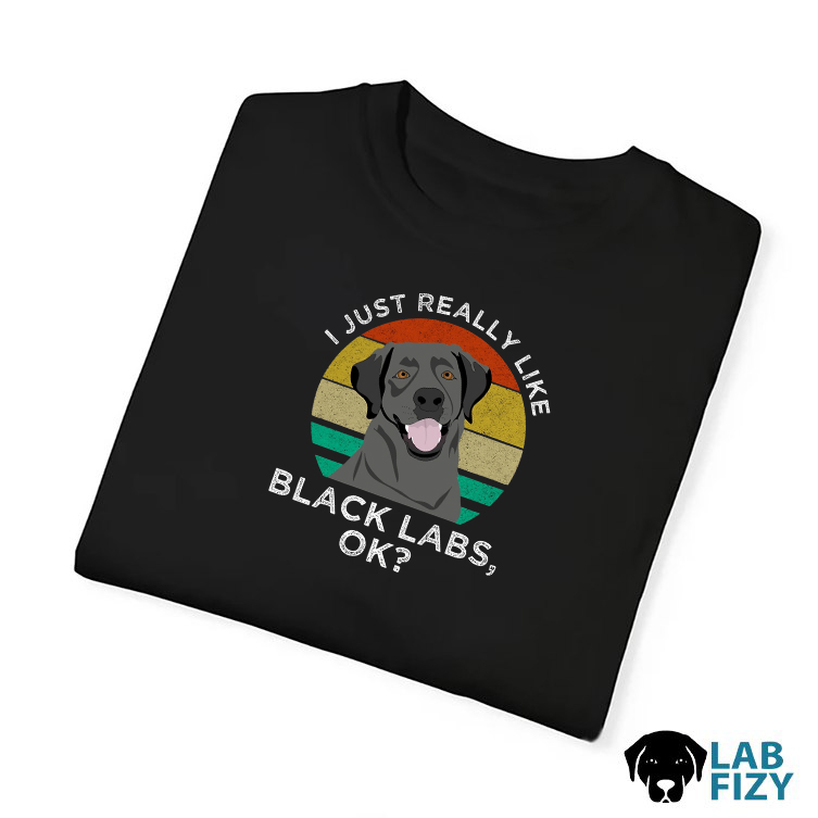 Top 100 Birthday Gift Ideas For Men In Their 30s 2 I Just Really Like Black Labs Shirt 3