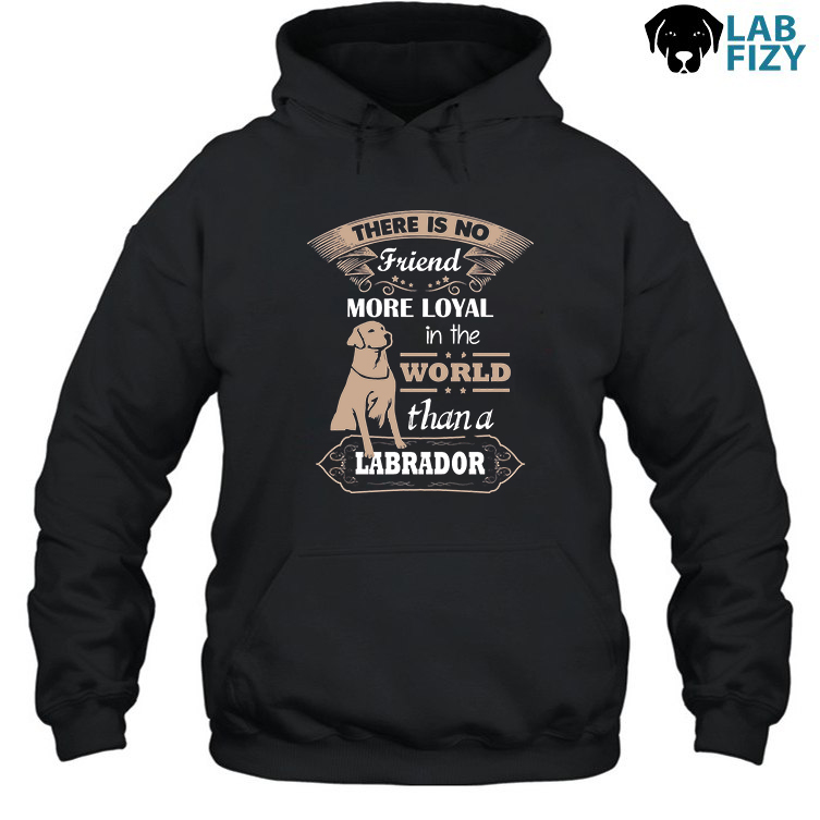 Top 100 Birthday Gift Ideas For Men In Their 30s 3 there is no friend more loyal in the world than a labrador Hoodie