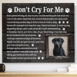 Don't Cry For Me Lab Poem
